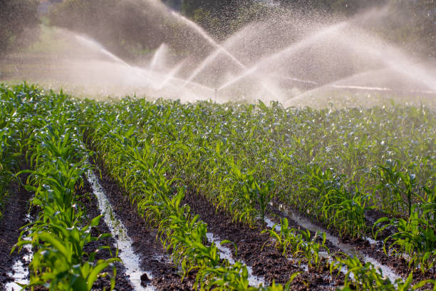 Irrigation Scheme